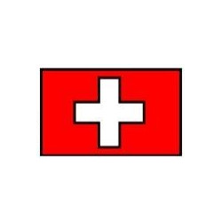 Vergaderingen Zwitserland